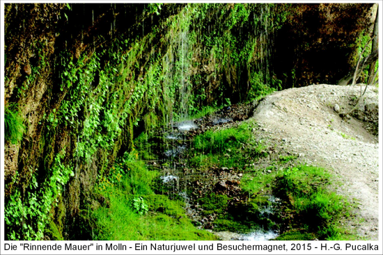 Naturjuwel Rinnende Mauer an der Steyr in Molln